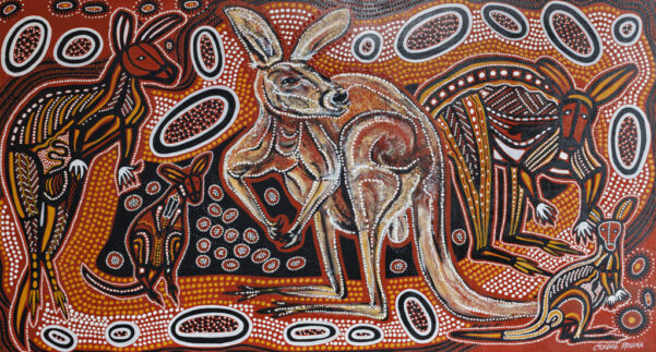 Kangaroo Contemplations
