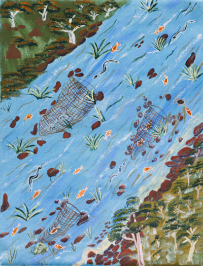 Saltwater Fish Trap