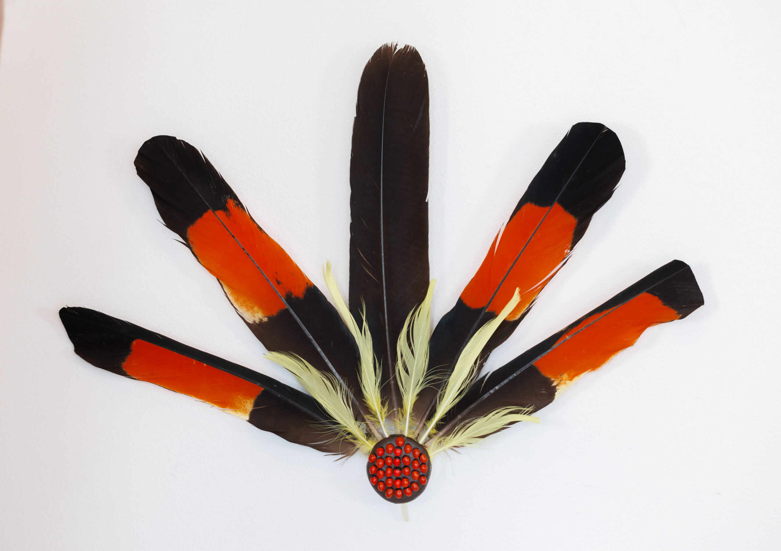 Black Cockatoo Headdress I (male)