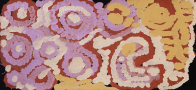 Wanarn Tjilpi and Pampa Painting Program