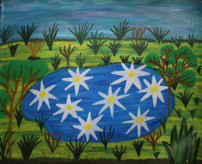 Wetlands